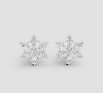 Load image into Gallery viewer, FrostBloom Radiant Studs Earrings